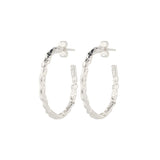 Aurelia Small Hoops Earrings