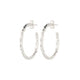 Aurelia Small Hoops Earrings